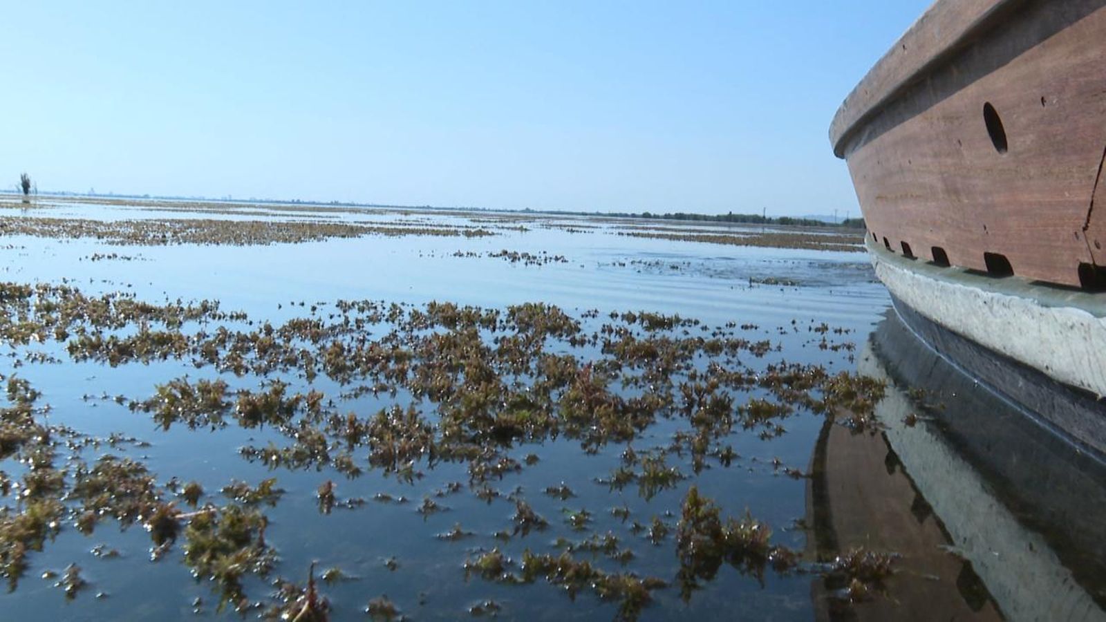 La recuperació de les aigües transparents de l'Albufera