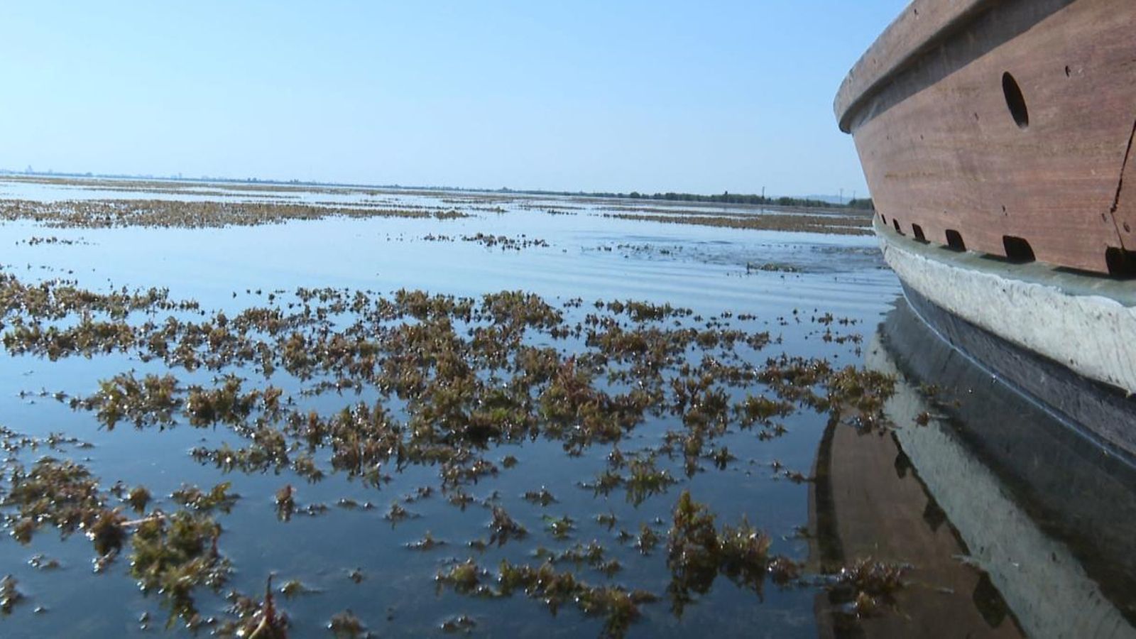 Les aportacions que rep l'Albufera, a través del Xúquer i el Túria, són essencials per a mantindre un nivell mínim que garantisca la seua conservació Regeneració Albufera