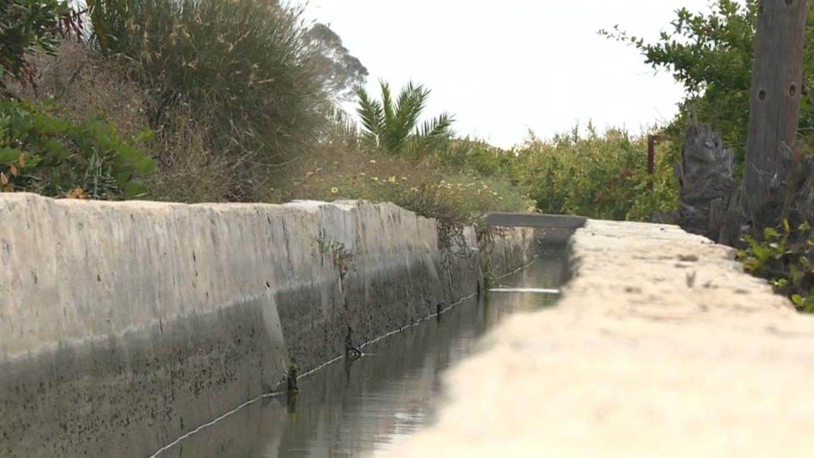 Els regants anuncien accions legals contra la Confederació Hidrogràfica del Segura