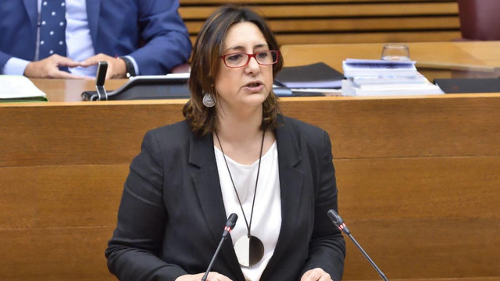 La consellera Rosa Pérez Garijo intervé a les Corts