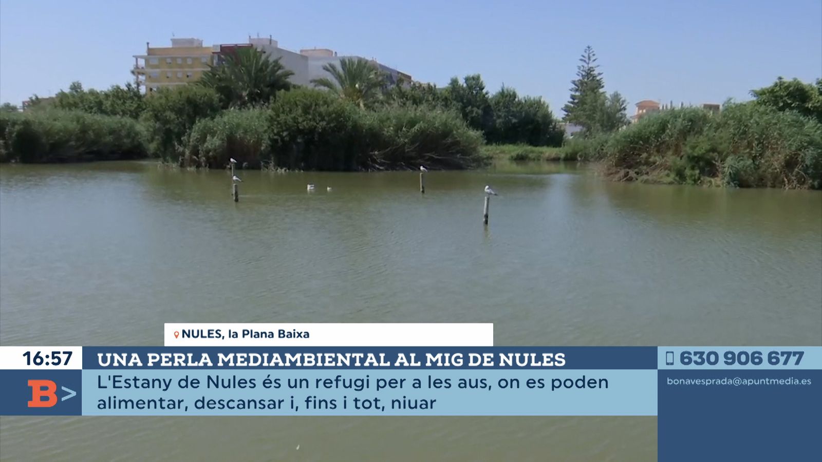 22.07.2021 | Una perla mediambiental al mig de Nules