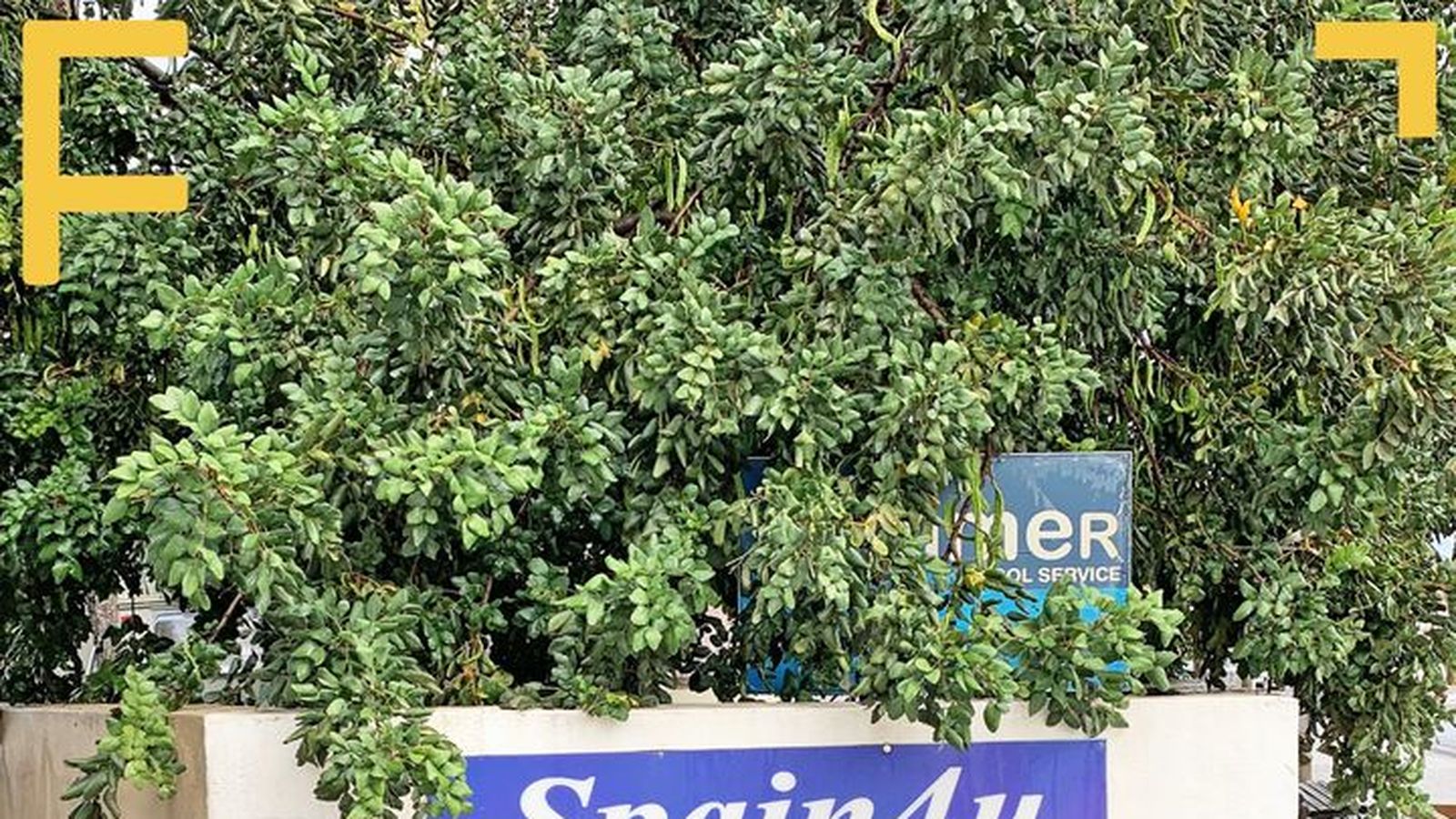 05.04.2019 | El terratrémol del Brexit: les rèpliques a la Costa Blanca | Experiències