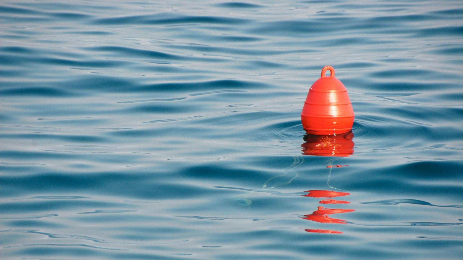 Boia marina en una imatge d'arxiu