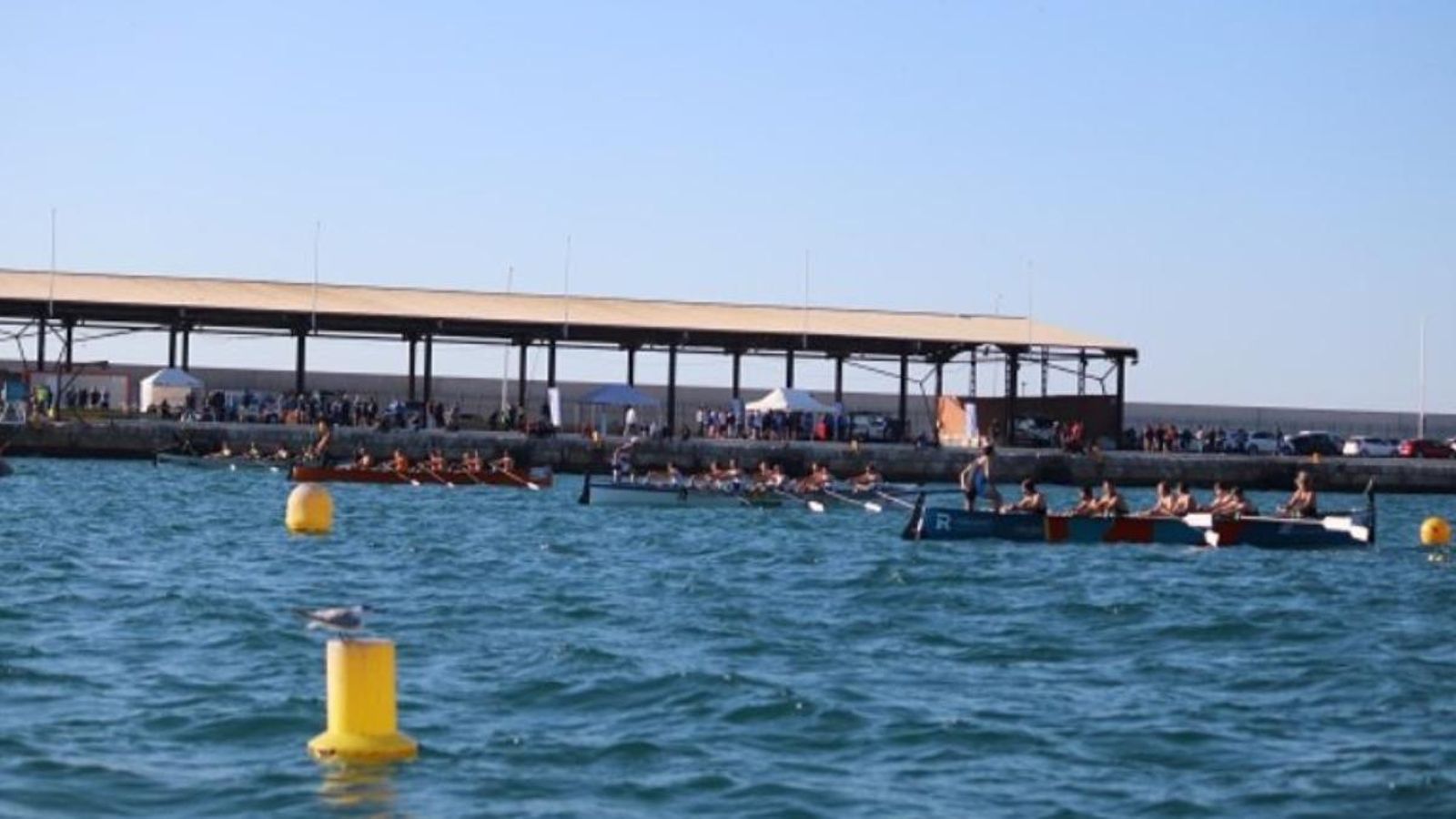 Regata de llaüt en el Real Club Regates Alacant