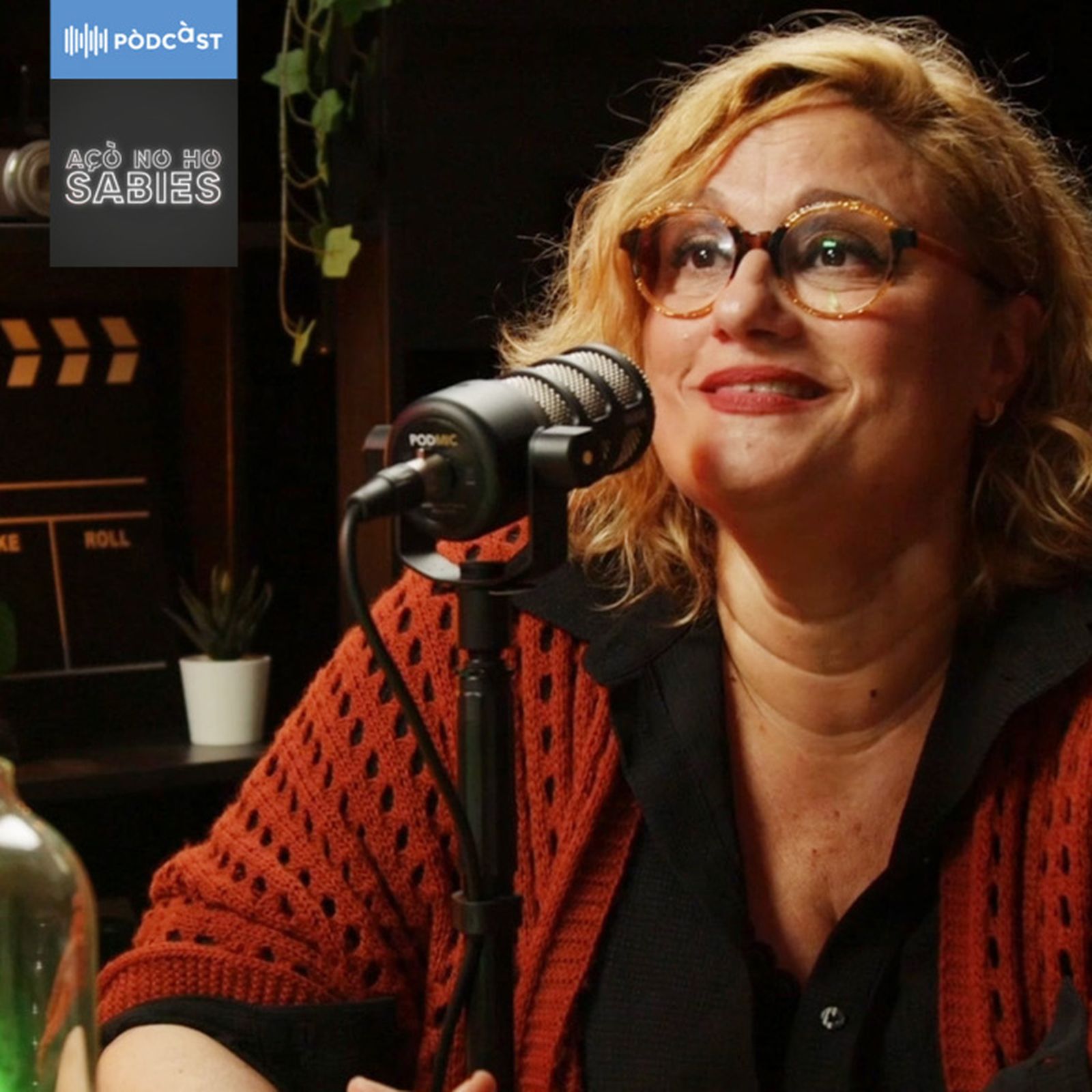 Episodi 2: Els crims amb Gemma Juan episode artwork