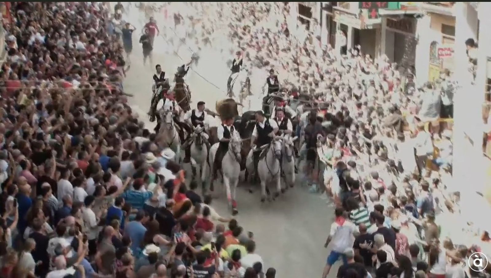 12.09.2026 | Entrada de Bous i Cavalls de Segorbe