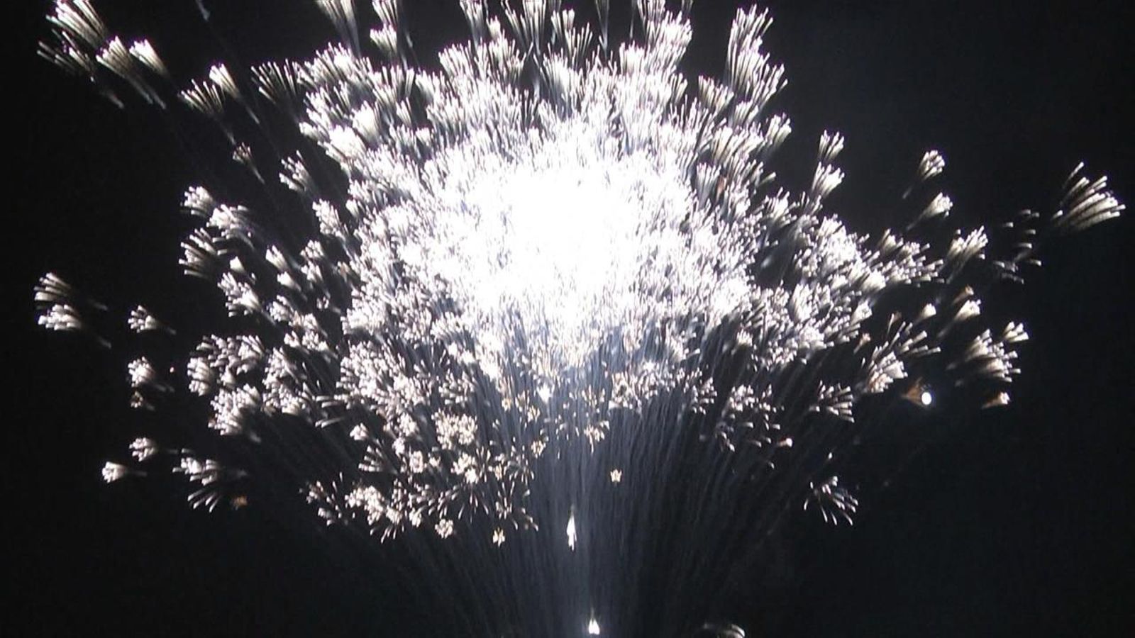 Elx es queda sense la Nit de l'Albà per segon any consecutiu a causa de la Covid