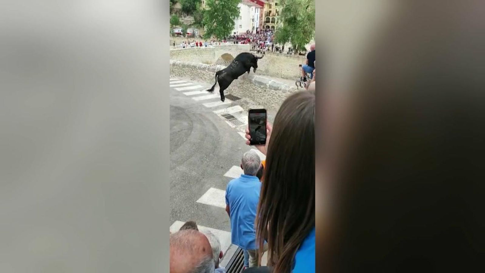 Polèmica per l'accident d'un bou 'en corda' a Ontinyent