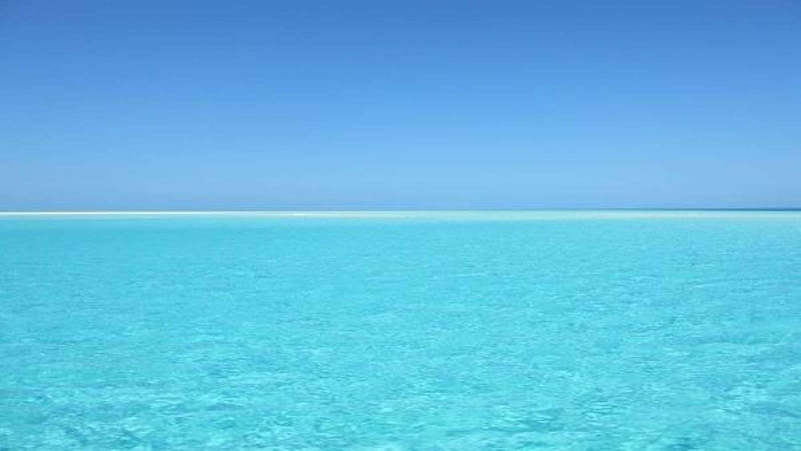 Les millors aplicacions per a anar a la platja