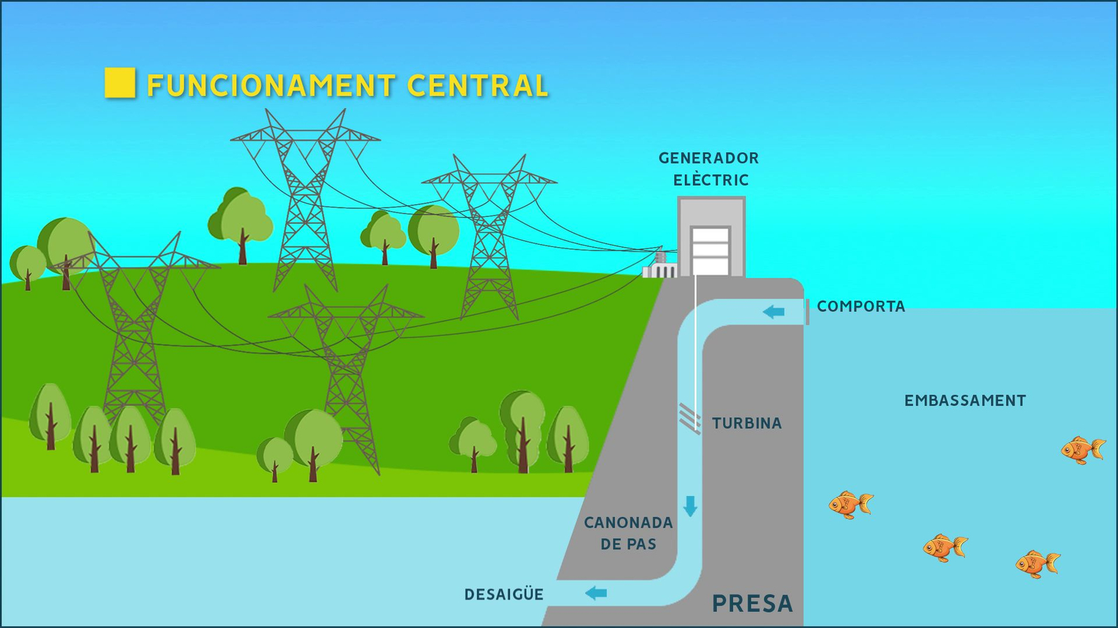 Funcionament d'una central hidroelèctrica