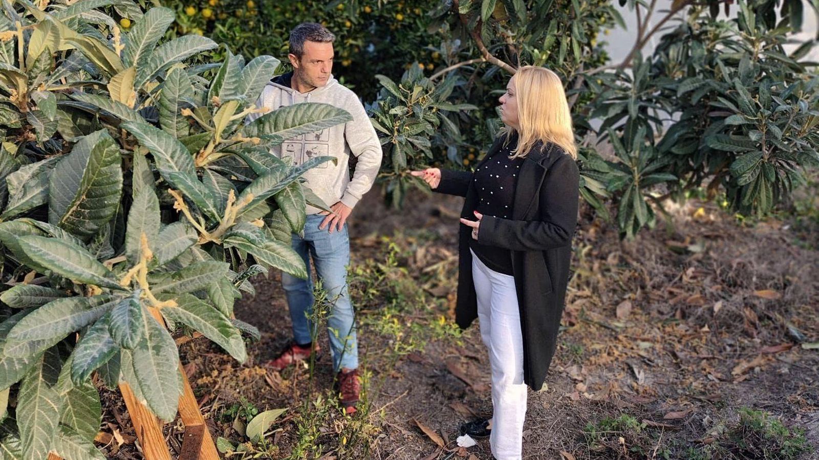 La regidora d'Agricultura de Polop de la Marina, Ángela Fuster, en un camp de nyespros La regidora d'Agricultura de Polop de la Marina, Ángela Fuster, en un camp de nyespros