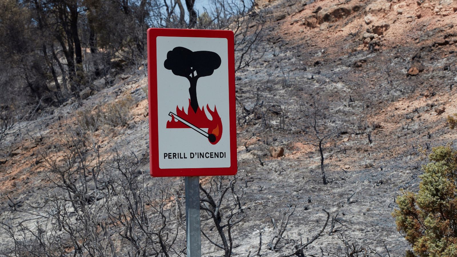 Imatge de la zona cremada a l'incendi de Ribera d'Ebre