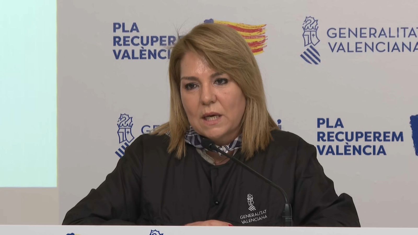 Camarero, este dilluns en la roda de premsa posterior al ple del Consell