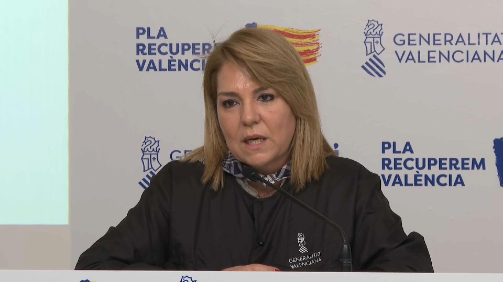 Camarero, este dilluns en la roda de premsa posterior al ple del Consell Camarero, este dilluns en la roda de premsa posterior al ple del Consell
