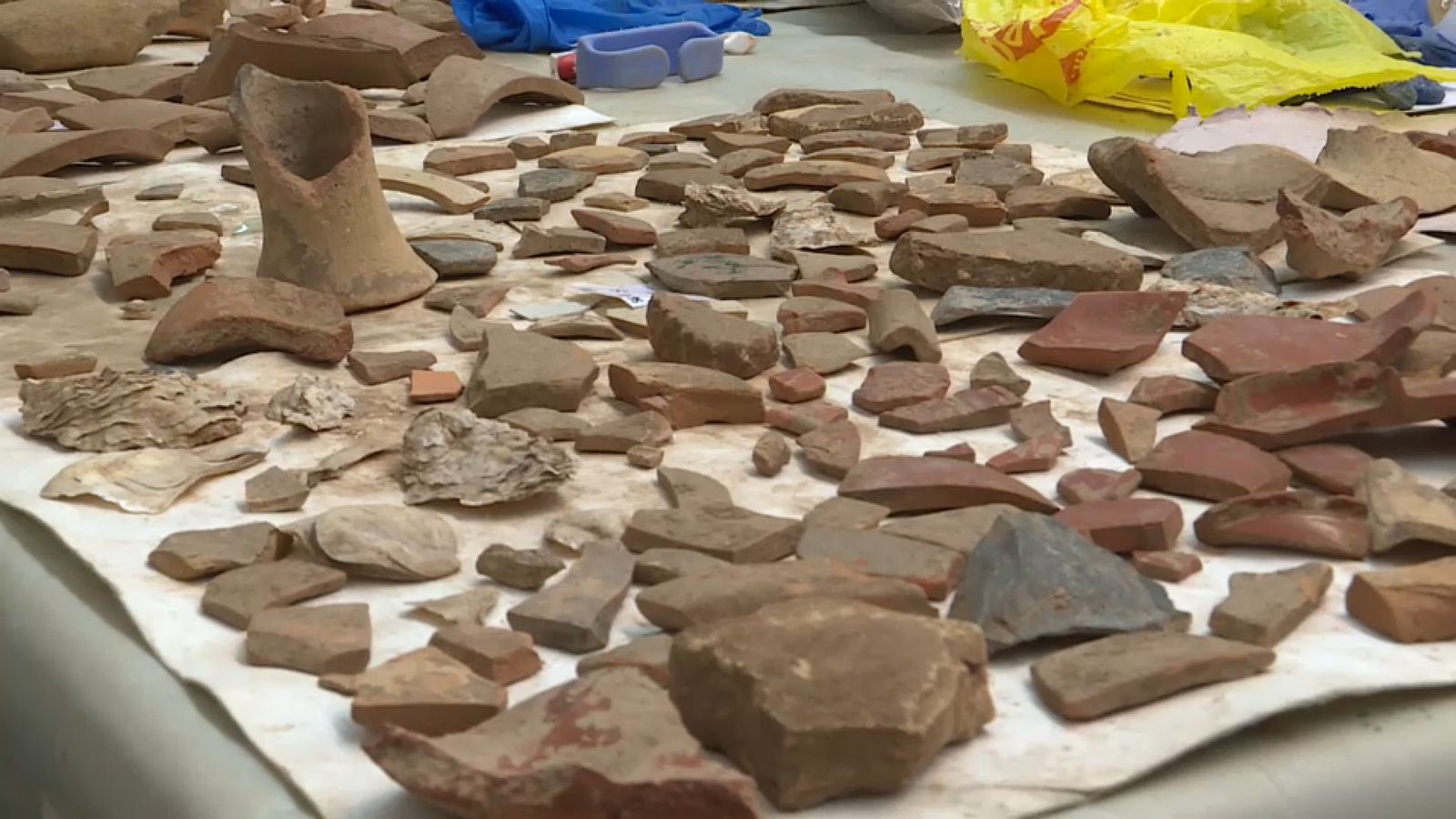 VÍDEO | Grans expectatives respecte a les excavacions de la vil·la romana de Sant Gregori