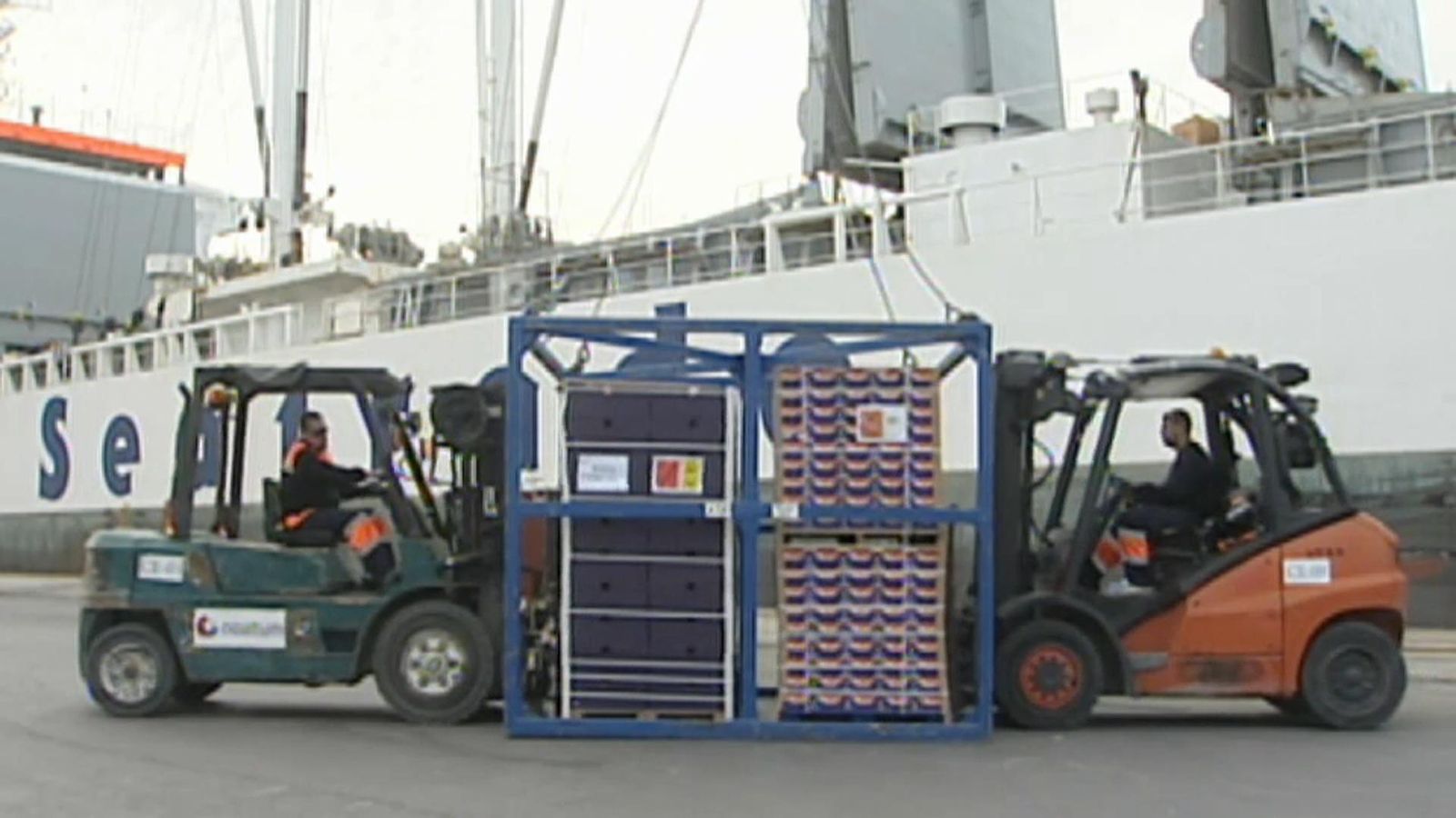 Carreguen cítrics en un vaixell