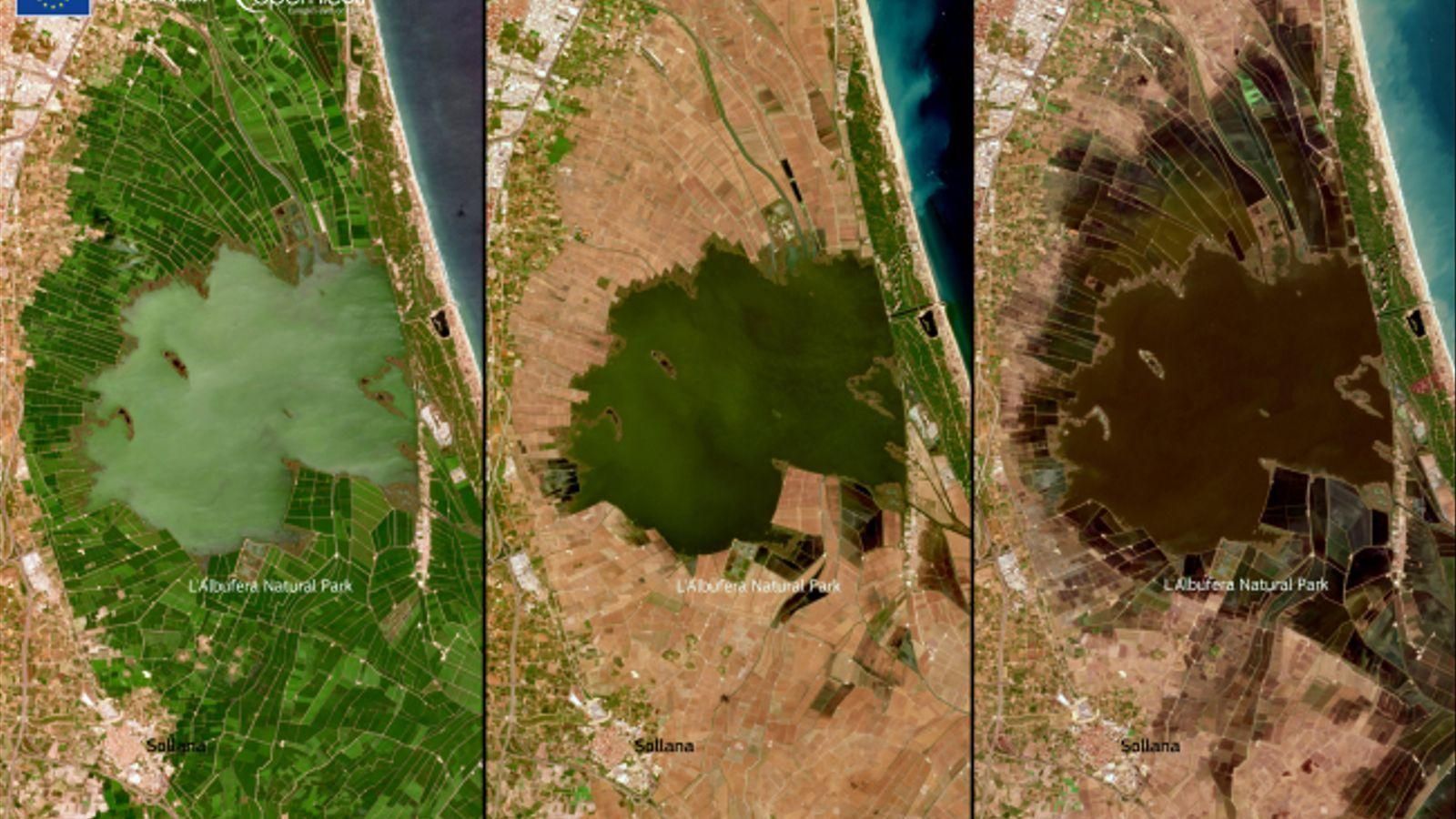 L'Albufera de València, completament marró fosc, vista des de l'espai el 15 de desembre