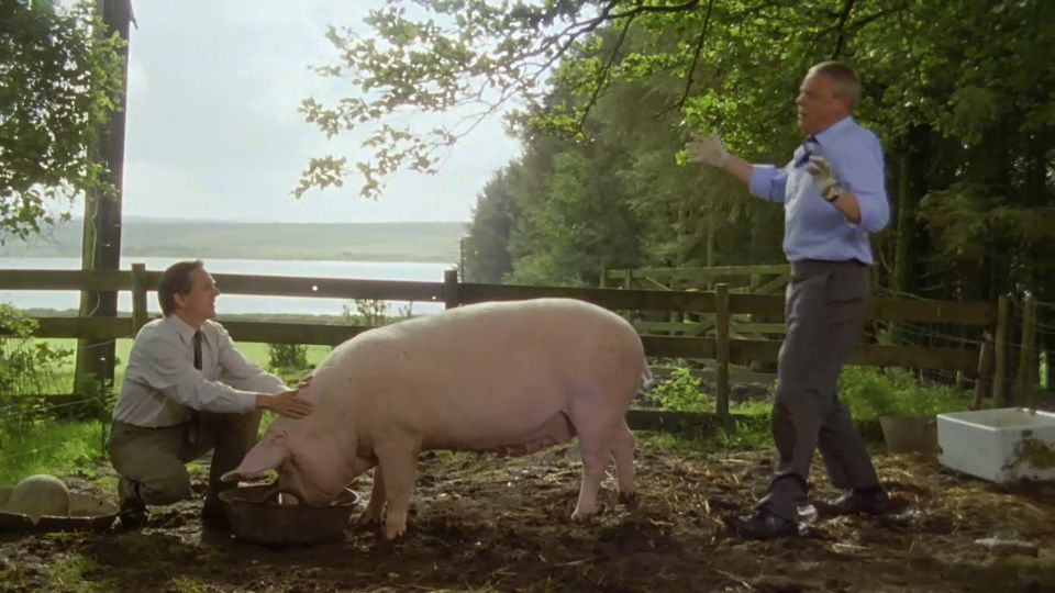 Doc Martin | En la salud y en la enfermedad