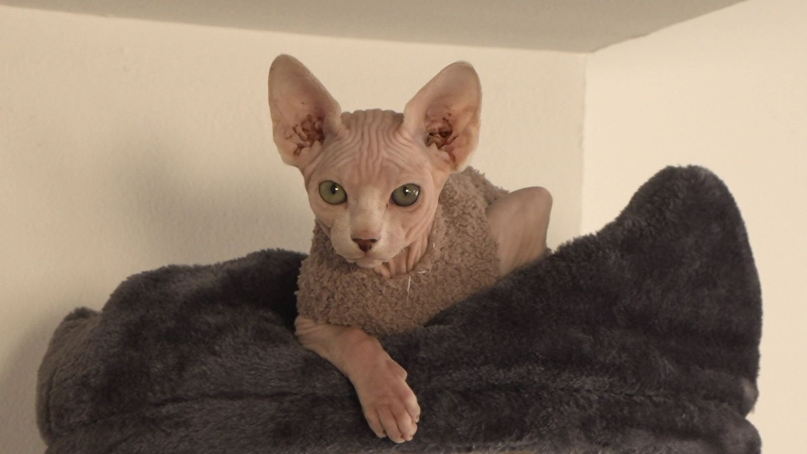 07.02.2026 | Massatges i educació