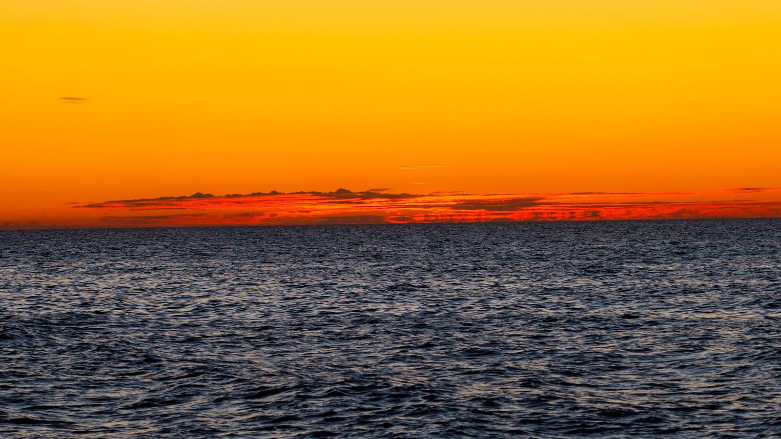 MONCOFA, LA PLANA BAIXA