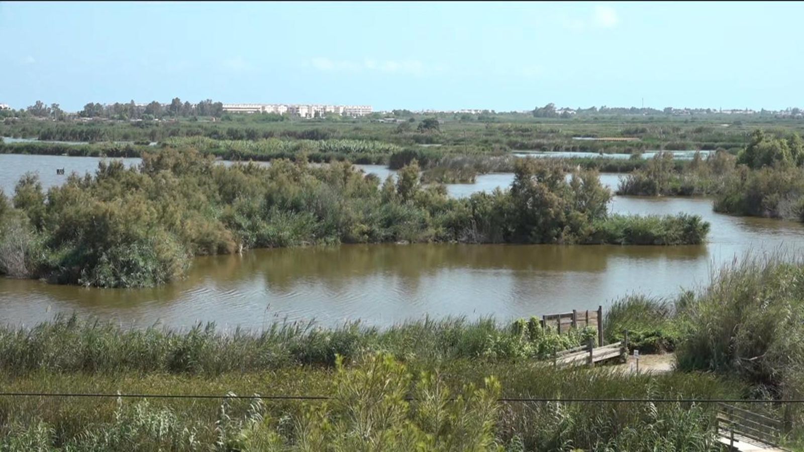La marjal d'Almenara vista des de la muntanyeta de la Ràpita