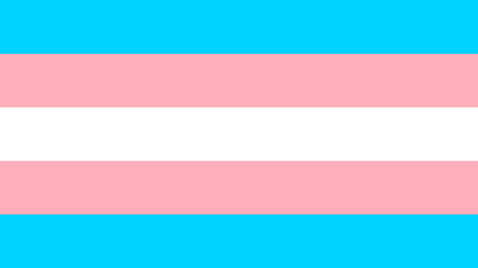 Les franges blaves, roses i blanques formen la bandera del col·lectiu transsexual