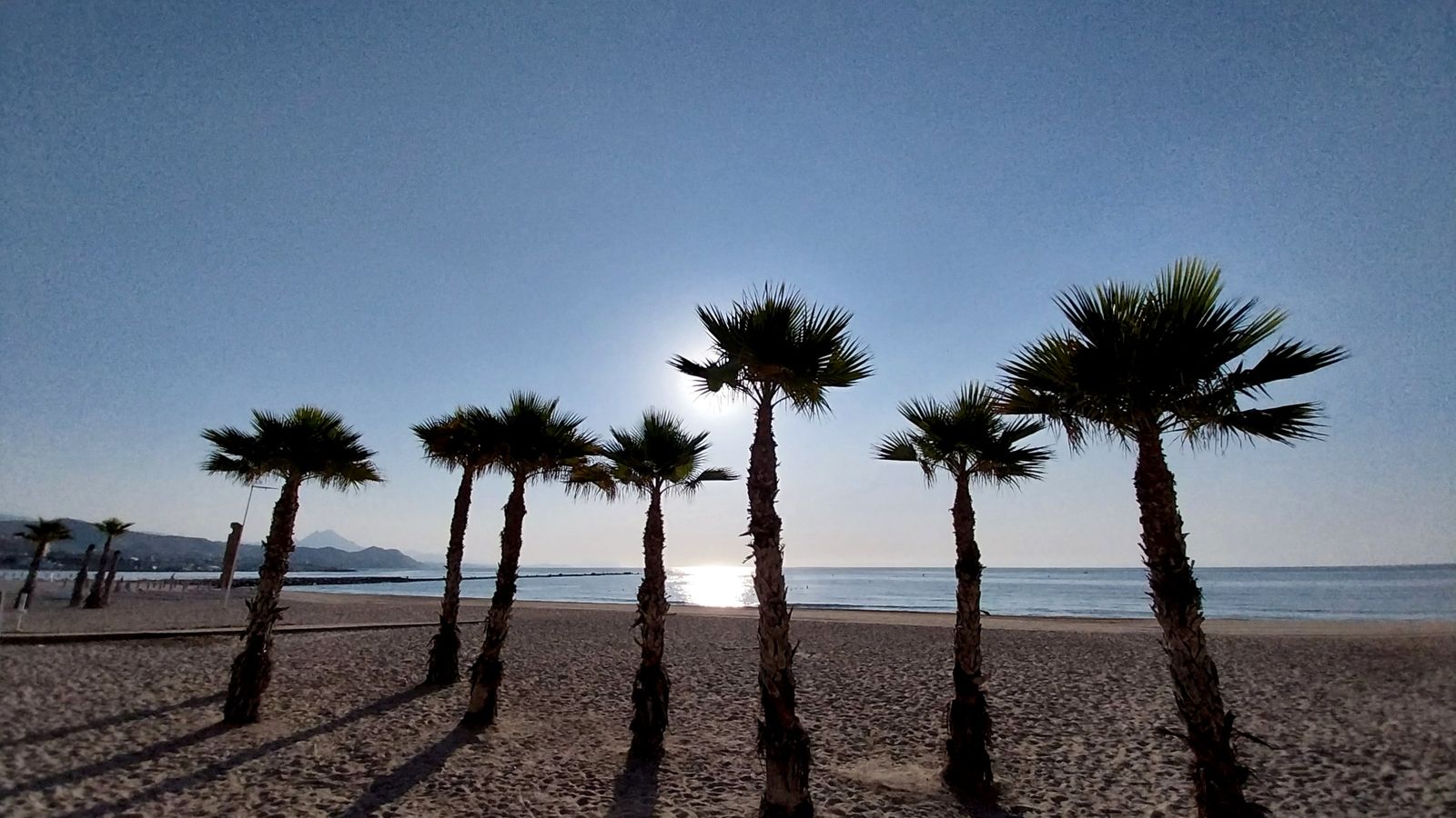 CARLOS SALINAS, El Campello, l'Alacantí