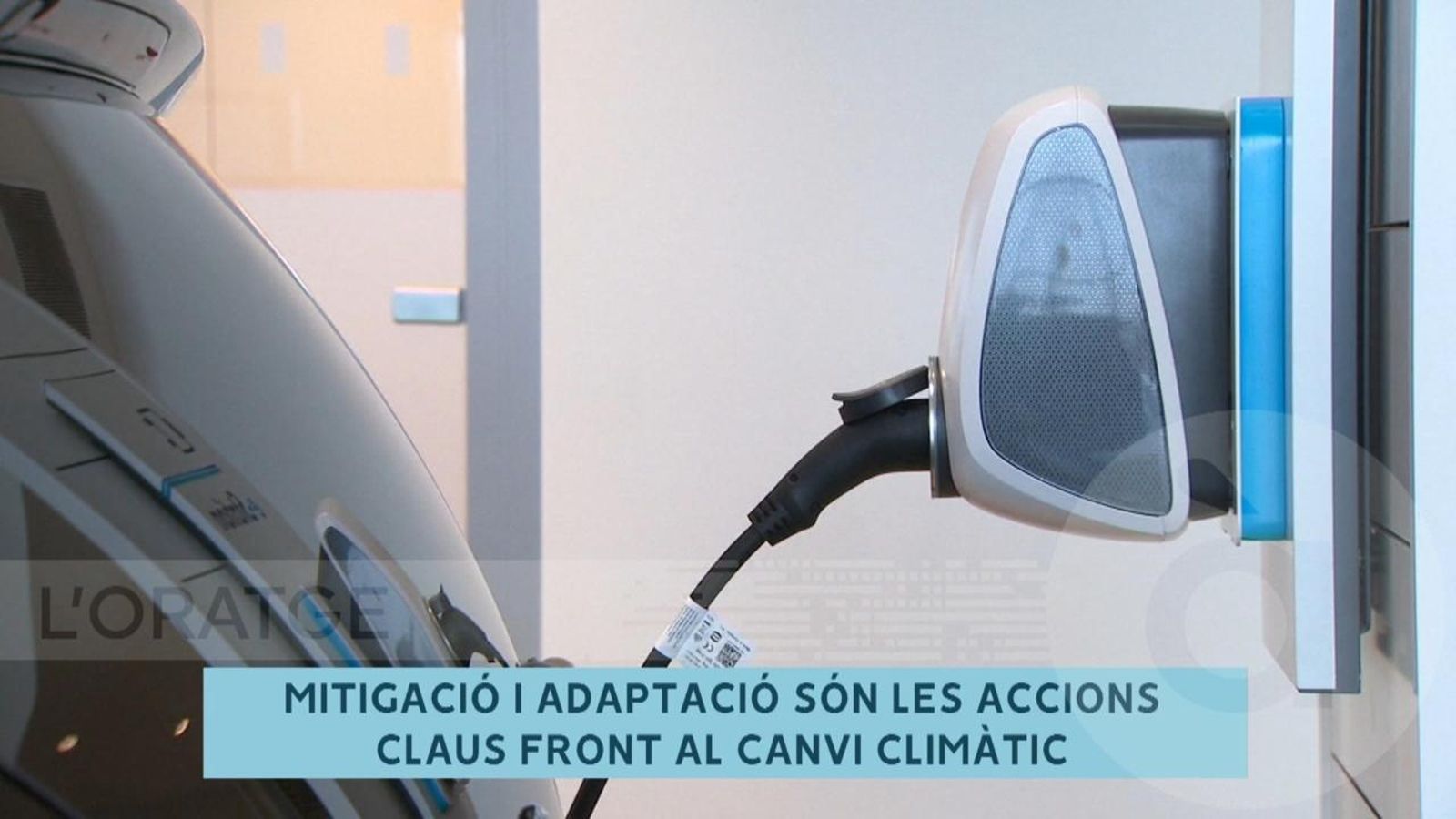 La influència del canvi climàtic en la temperatura de l’aigua de la mar i en les espècies