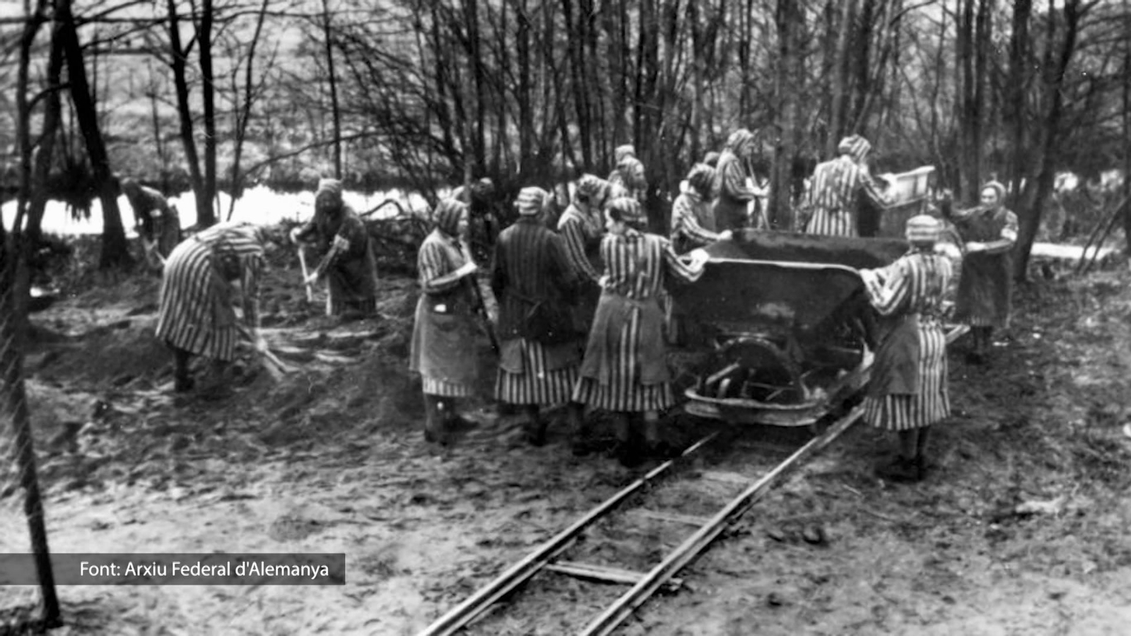 Treballs camp de concentració Raversbrück 