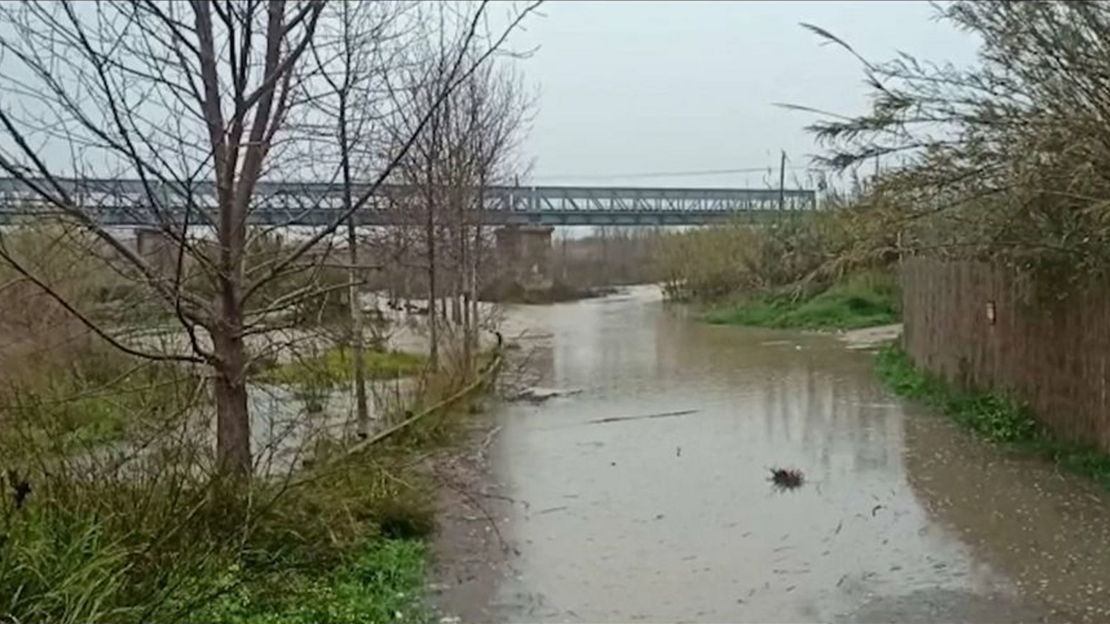 Desembocadura riu Algar a Altea (Marina Baixa)