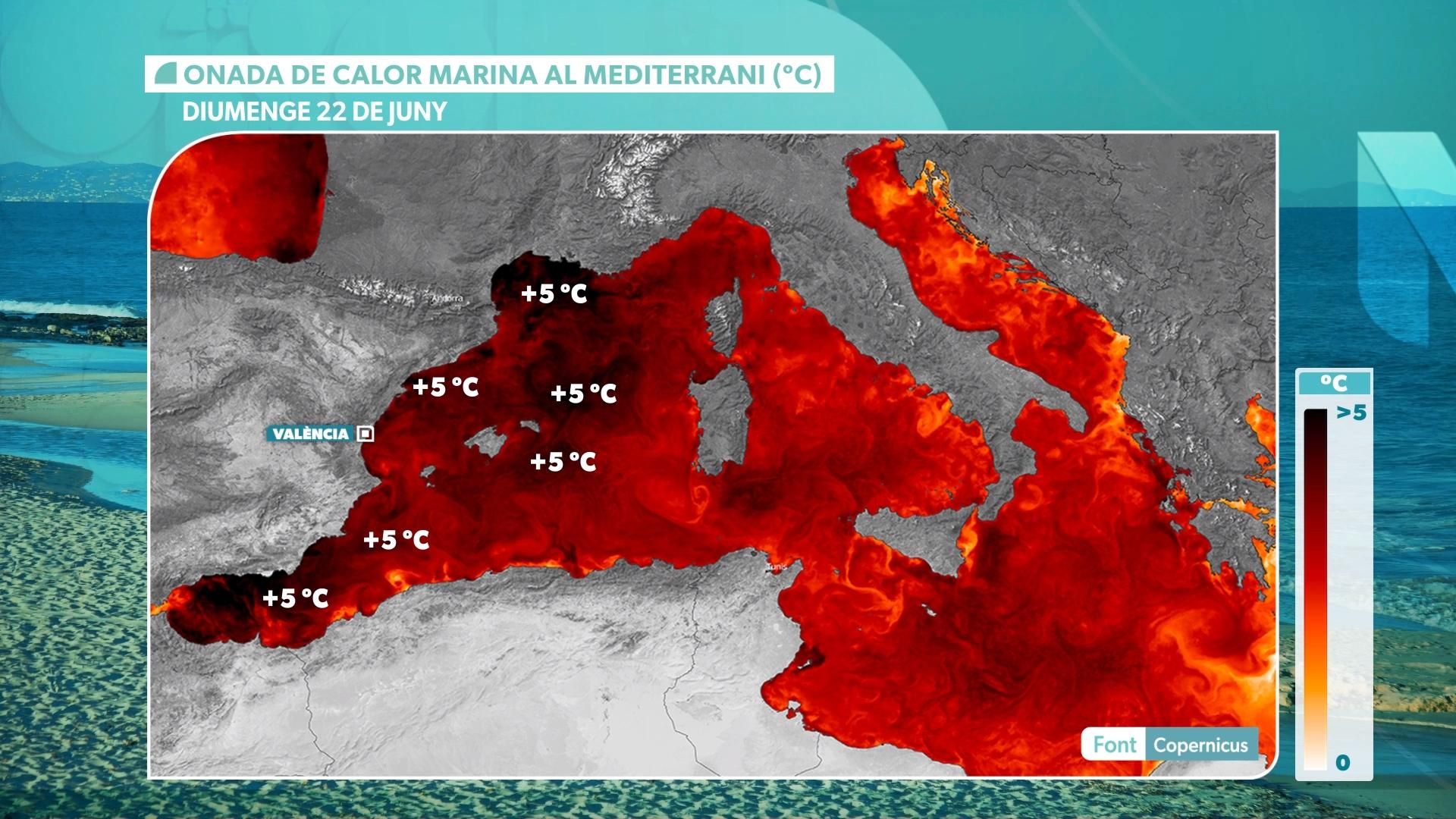 ONADA DE CALOR MARÍTIMA ONADA DE CALOR MARÍTIMA