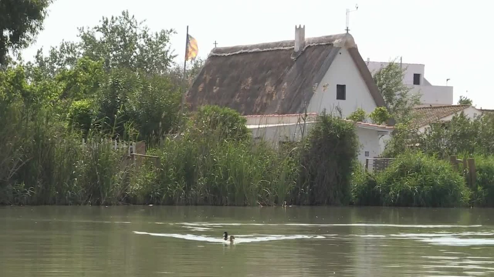01.02.2022 | Estudi de regeneració les aigües de l'Albufera