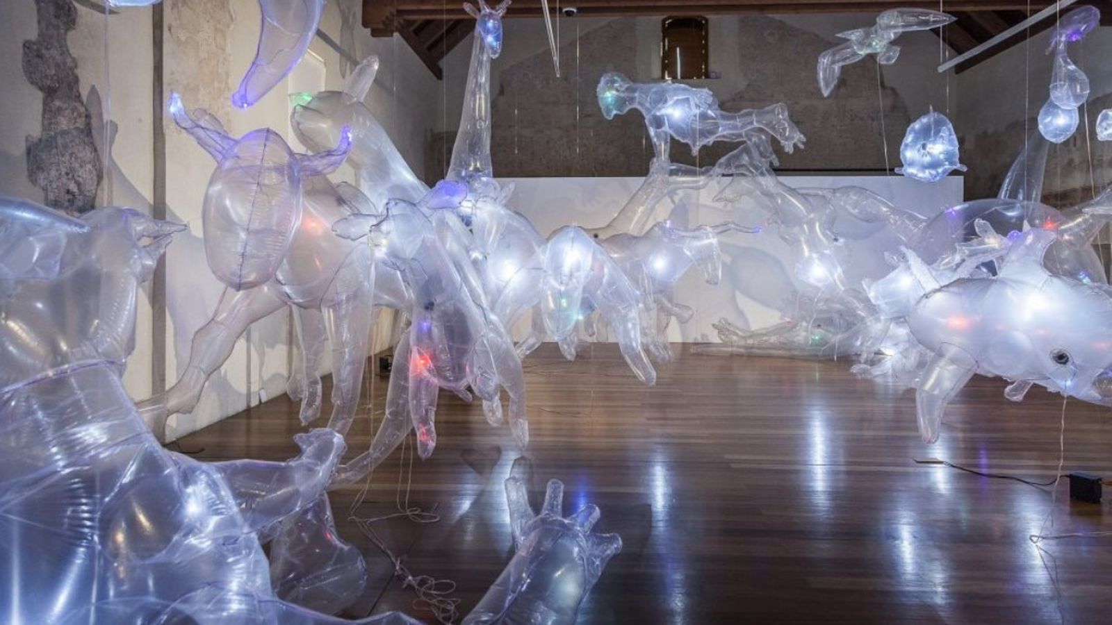 L'exposició "Jardí autòmat" de l'alacantina Olga Diego