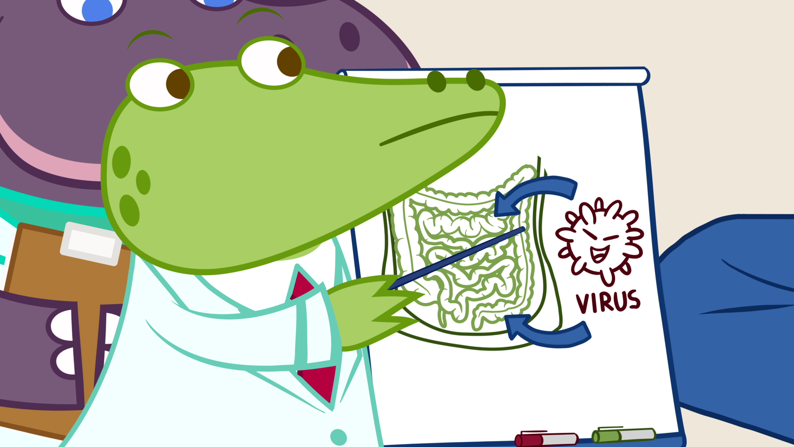 La panxa rebolicada. Gastroenteritis