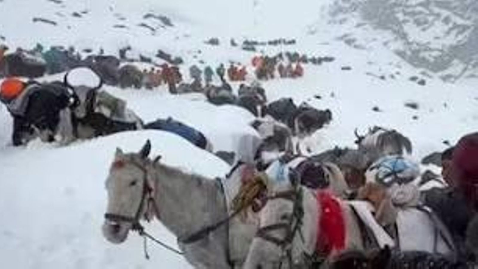 Els senderistes abans de ser rescatats a l'Everest