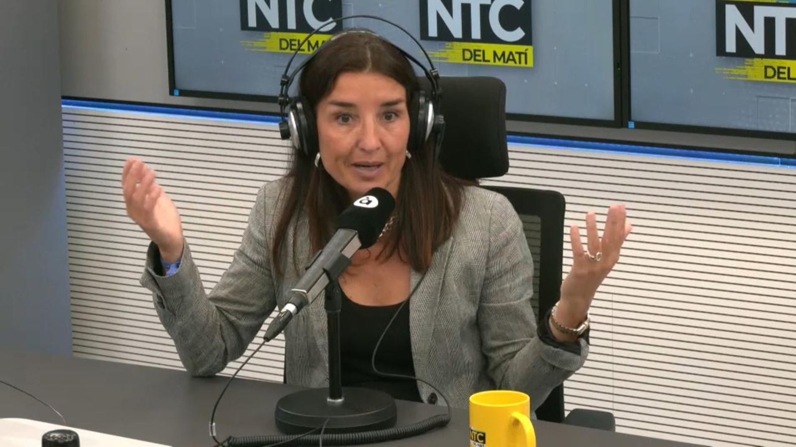 La síndica de Ciutadans, Ruth Merino, durant l'entrevista en la ràdio d'À Punt