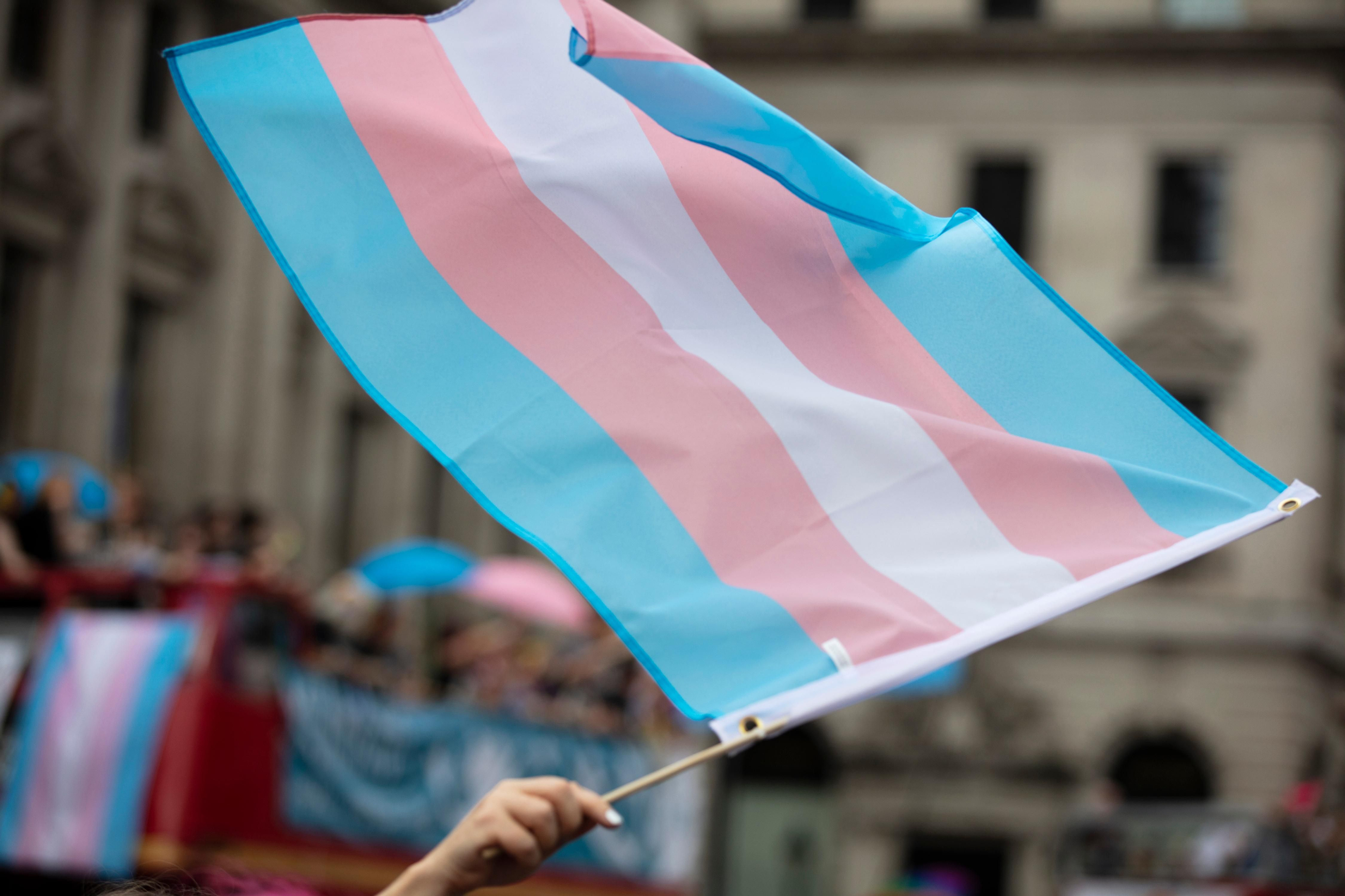Conceptes clau per a entendre la nova llei trans Conceptes clau per a entendre la nova Llei Trans