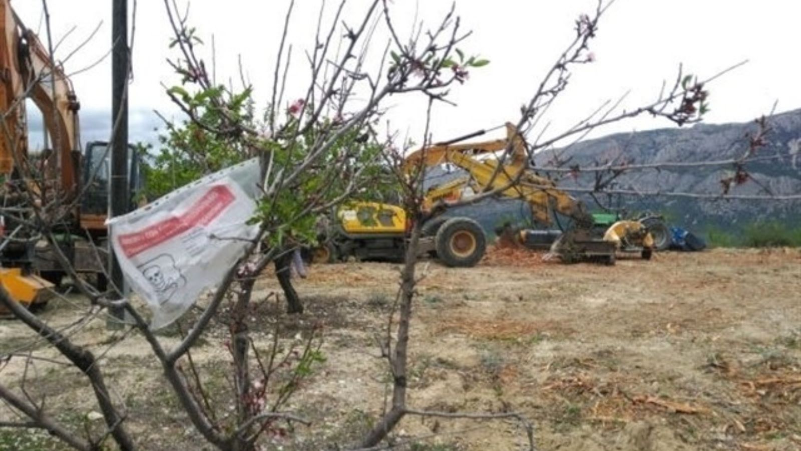 En total, hi ha 51 municipis de les comarques del sud que estan afectats de forma íntegra i altres 21 de forma parcial