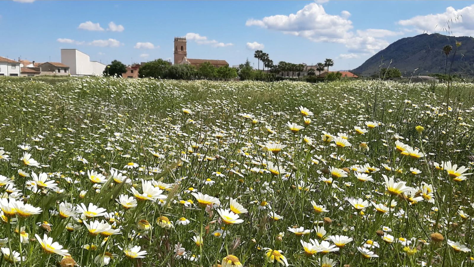 Serra de Vernissa des d'Aiacor, Canals