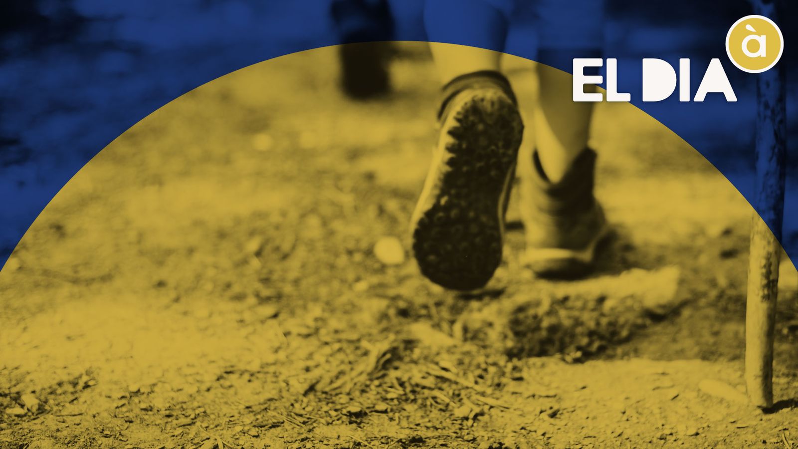 El dia À Punt - de ruta
