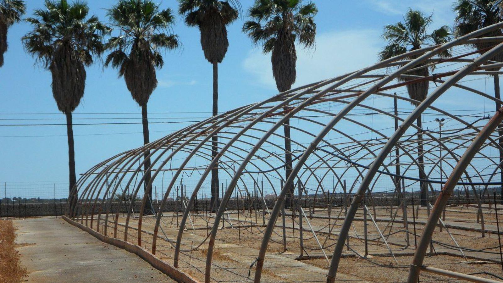 En imatge, una explotació agrària abandonada