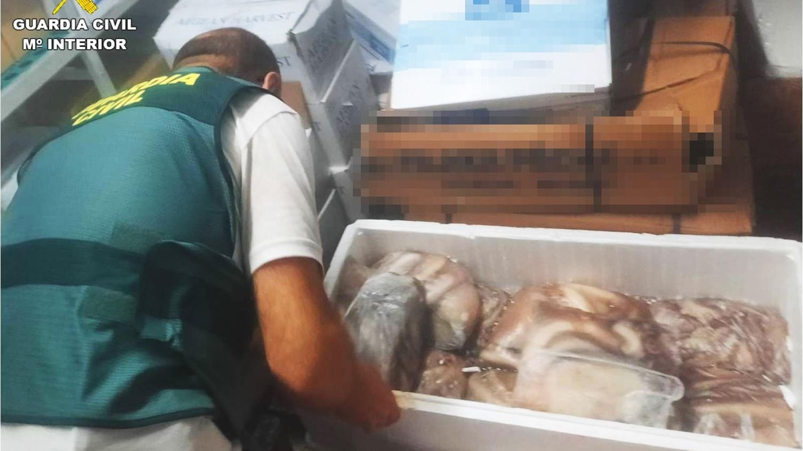 Un agent inspecciona el génere incautat