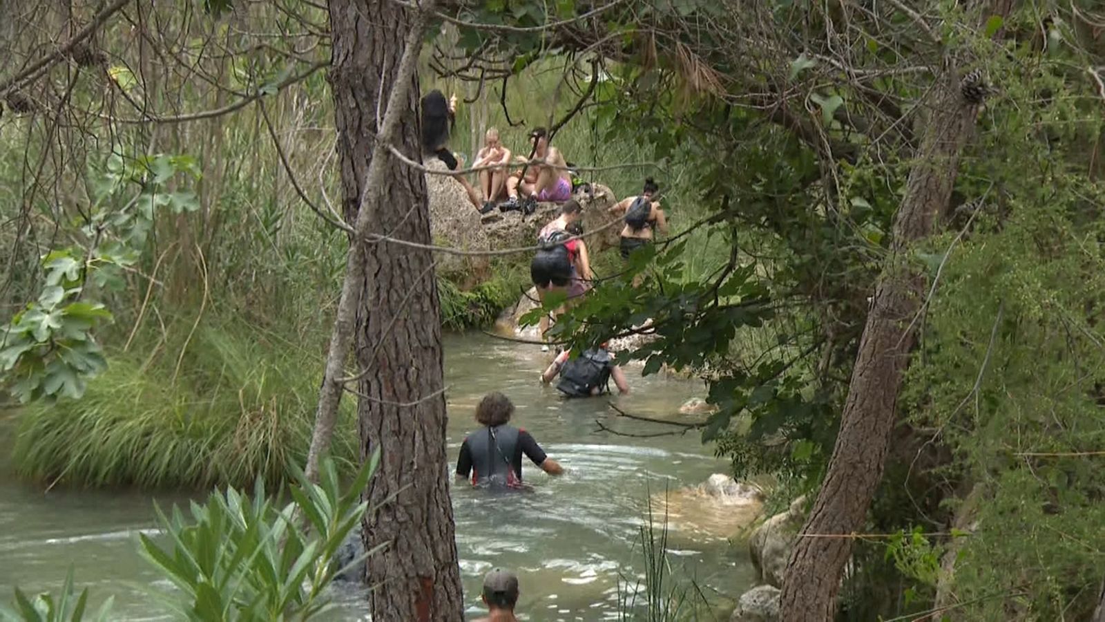 Un grup de banyistes, dins les aigües de riu Fraile (Canal de Navarrés)