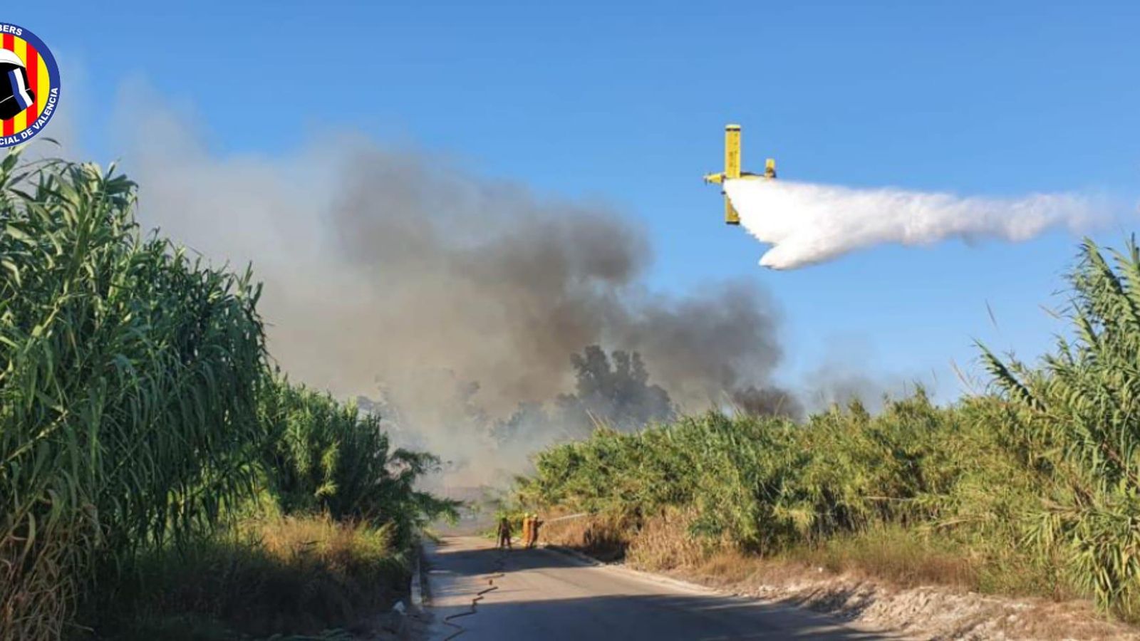 Efectius de bombers treballen en l'incendi forestal d'Oliva
