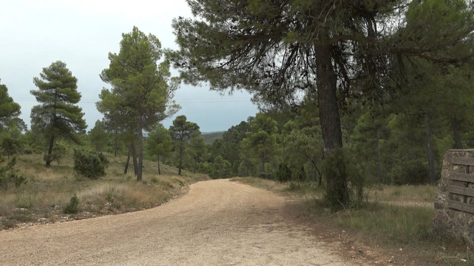 Imatge del tallafoc d'Enguera
