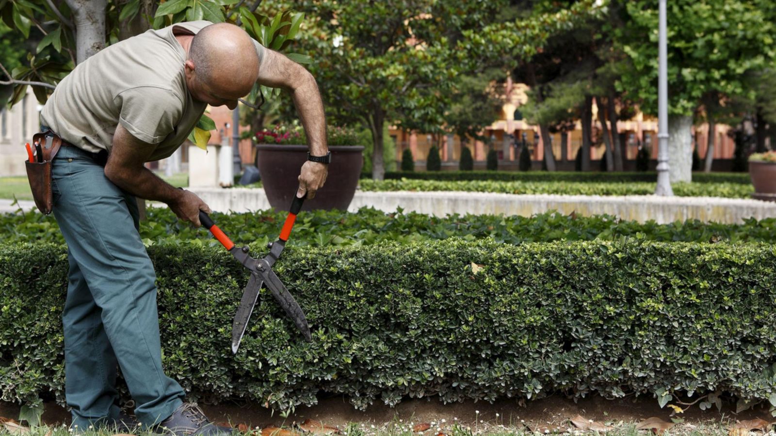 Cada vegada són més els consumidors i consumidores que aposten per productes i serveis vinculats a l'ESS. EP