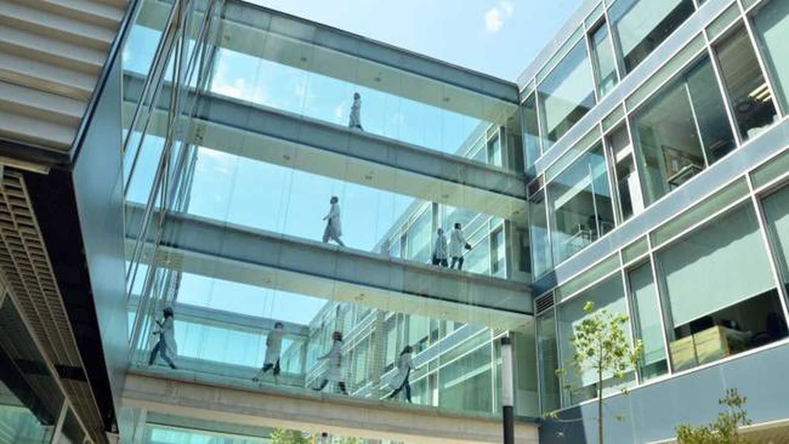 Universitat Politècnica de València es una imatge d'arxiu / UPV