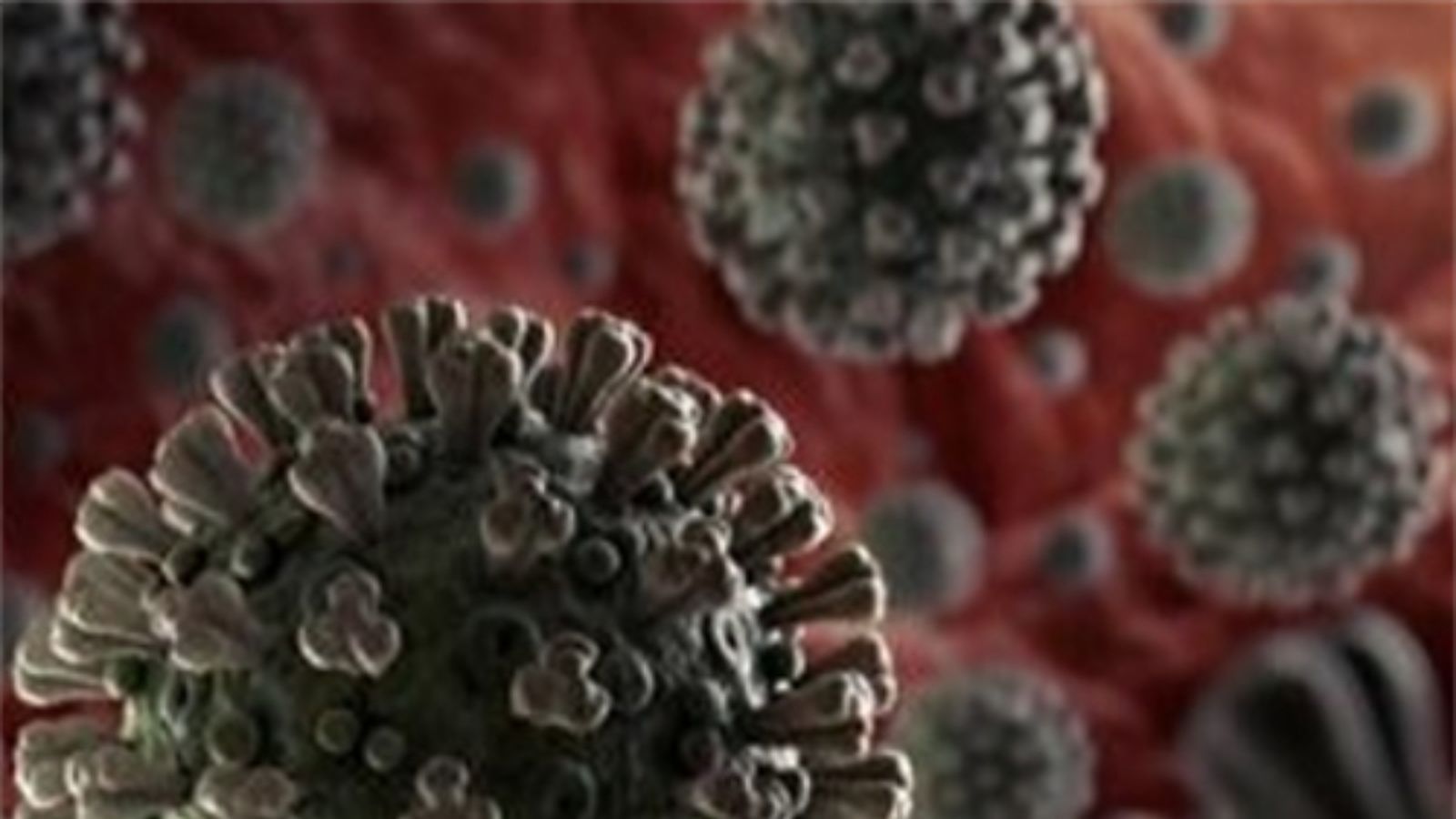 Els quatre casos de coronavirus de l\'Hospital de Mallorca donen negatiu