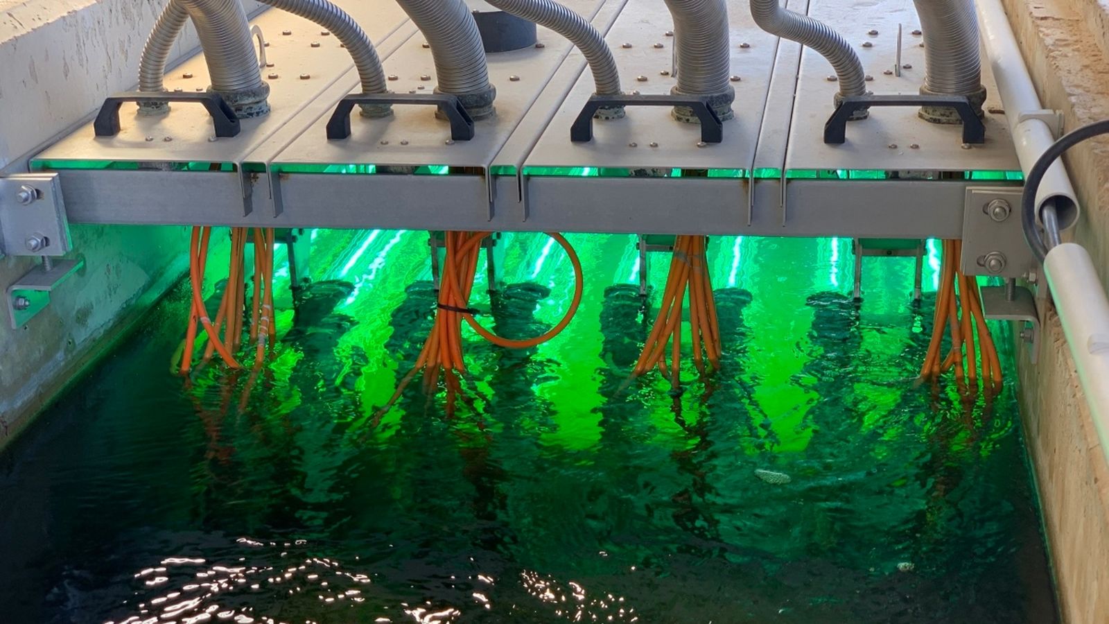 Els tractaments de desinfecció a les depuradores "són eficaços en l'eliminació del virus", assenyala el CSIC