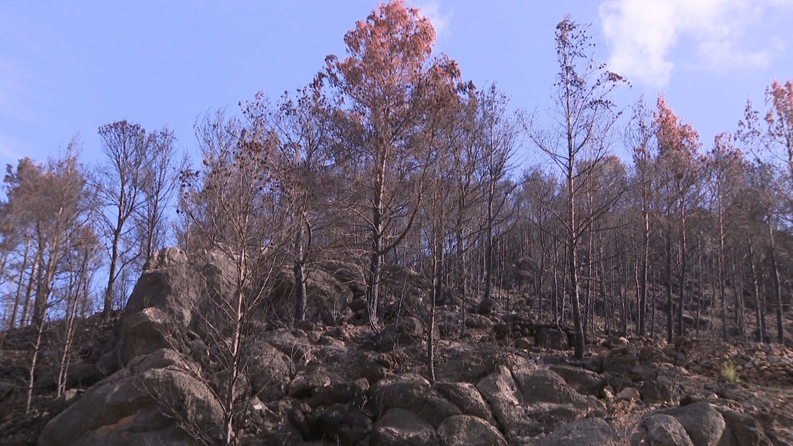 Preocupació per les tronades seques que poden ocasionar incendis forestals